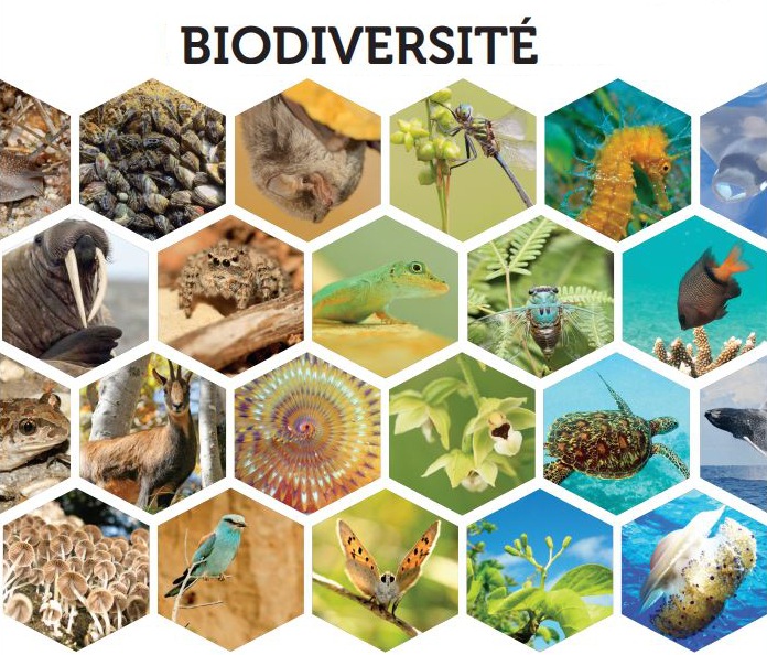 Biodiversité PamiersCitoyenne