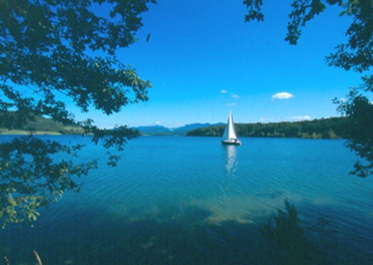 You are currently viewing Le lac de Montbel préservé